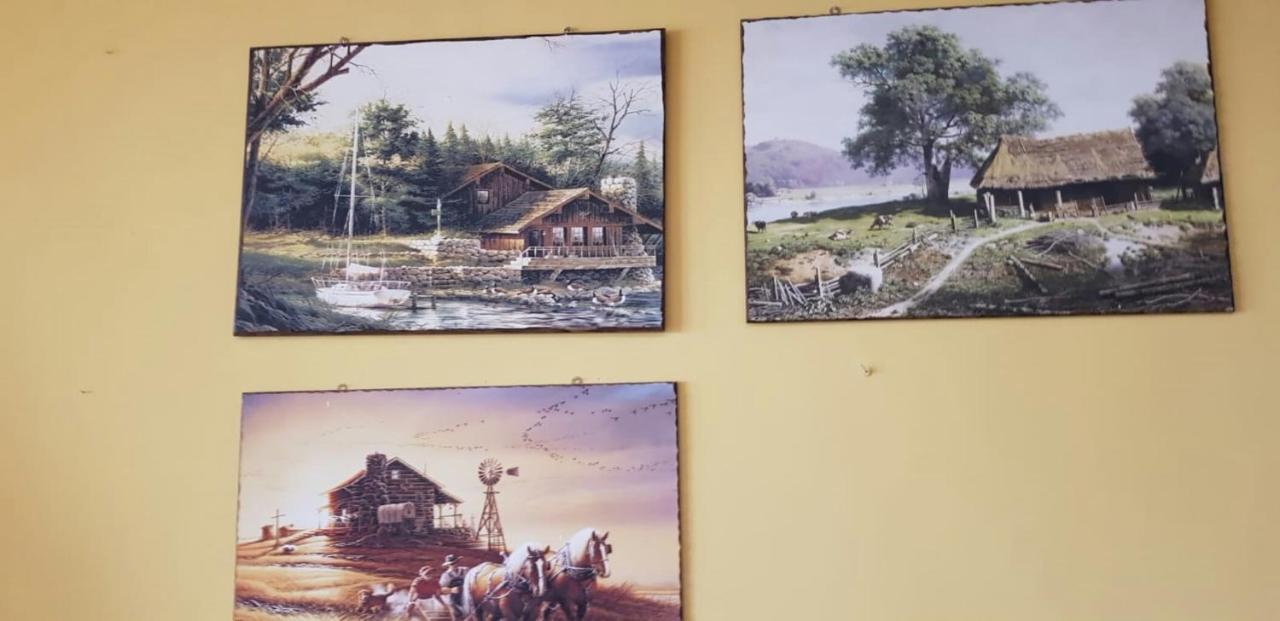 Leyla Hostel Braşov Exteriör bild