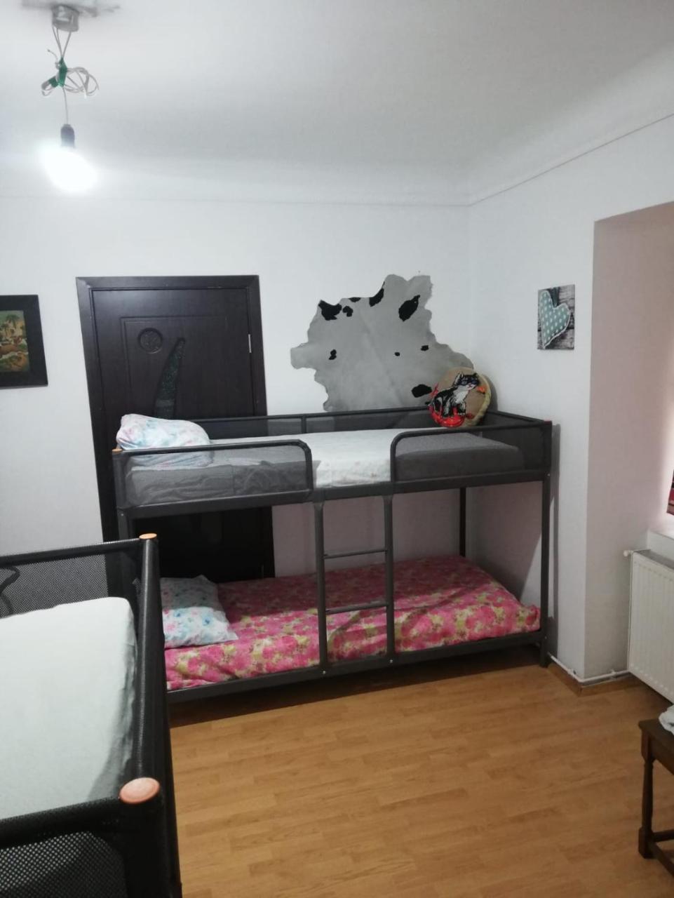 Leyla Hostel Braşov Exteriör bild