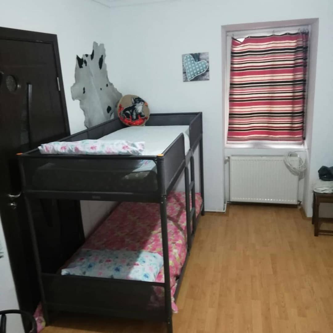 Leyla Hostel Braşov Exteriör bild