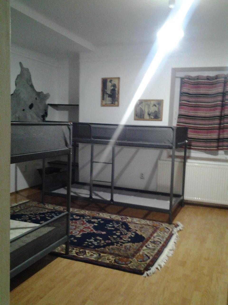 Leyla Hostel Braşov Exteriör bild