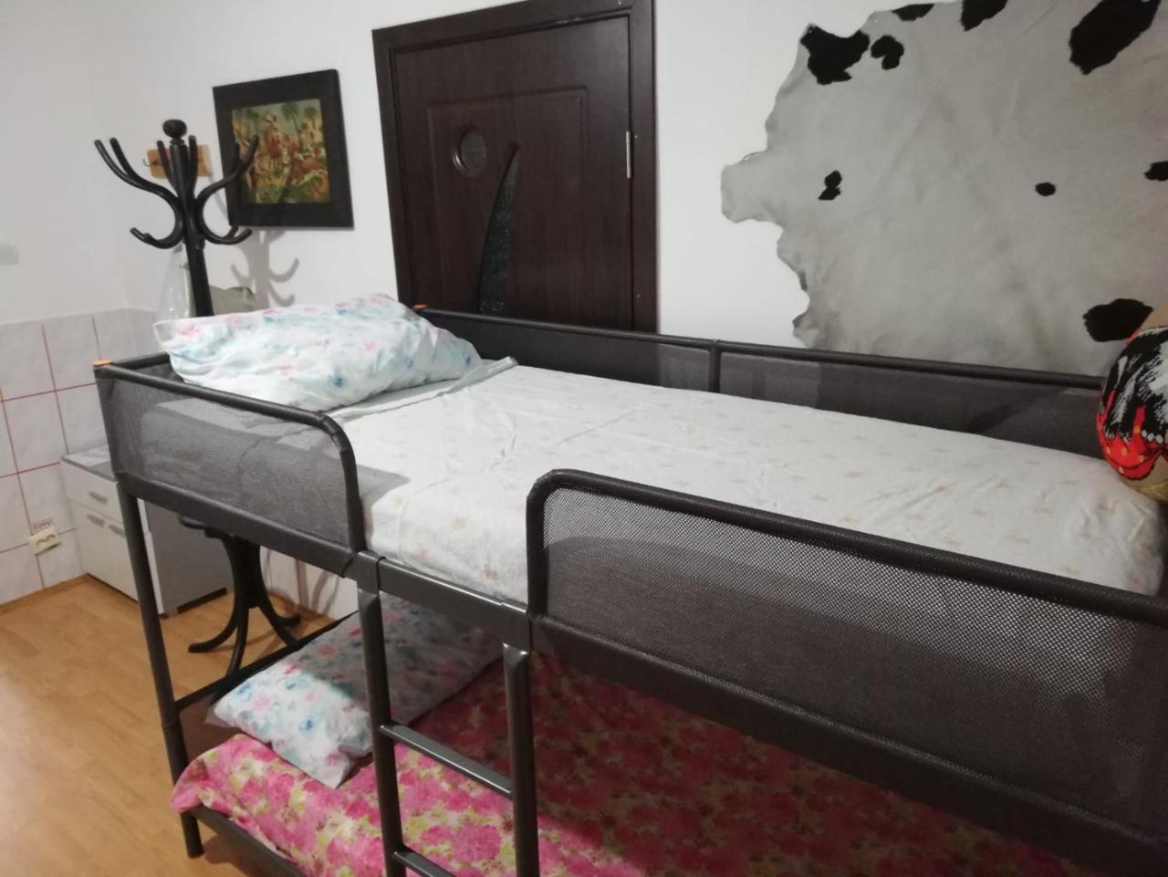 Leyla Hostel Braşov Exteriör bild