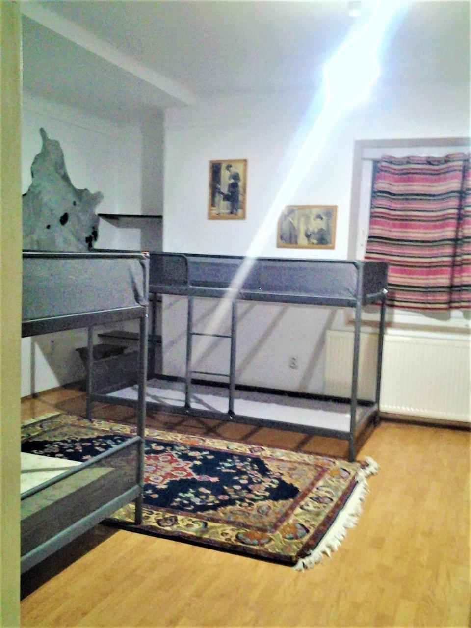 Leyla Hostel Braşov Exteriör bild