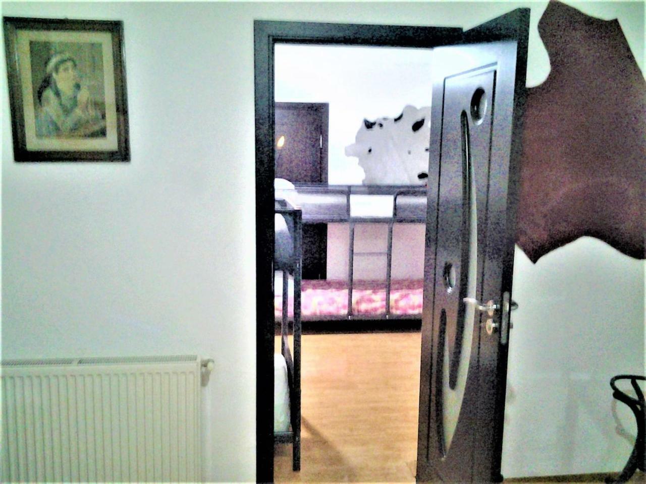 Leyla Hostel Braşov Exteriör bild